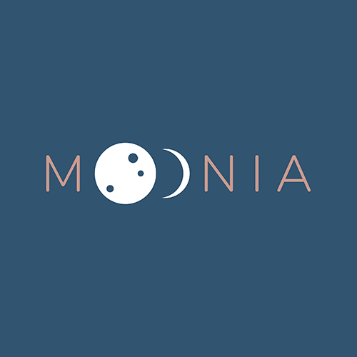 Tvorba loga a vizuálního stylu na míru Moonia portfolio